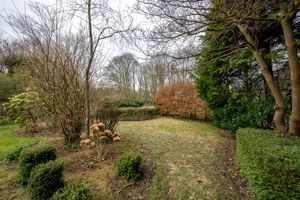 Photo 44- click for photo gallery